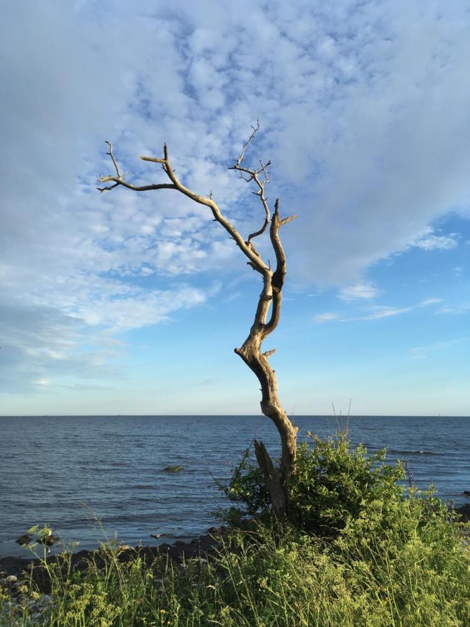 Rum Pa Landet Klagstorp Екстериор снимка